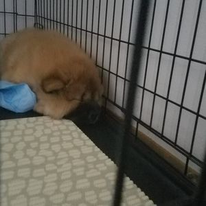 Meet your Posher, Brennan